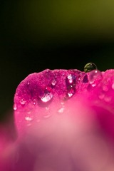 IMG_3617.jpg