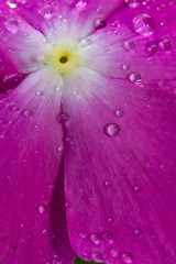 IMG_3662.jpg