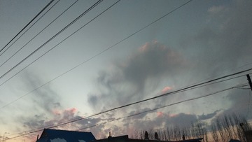 48469