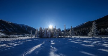 589980