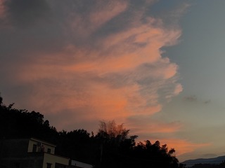 1000039197