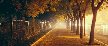 YXW_5846