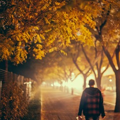 YXW_5849