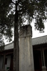 IMGP4402.JPG