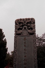 IMGP4442.JPG