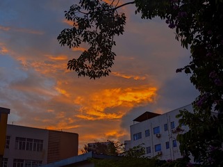 1000054740