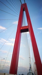 55443