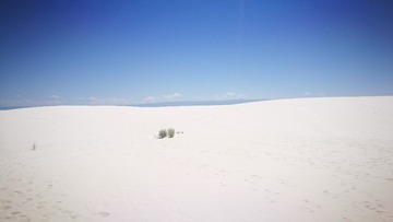 1566806