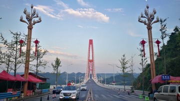55456