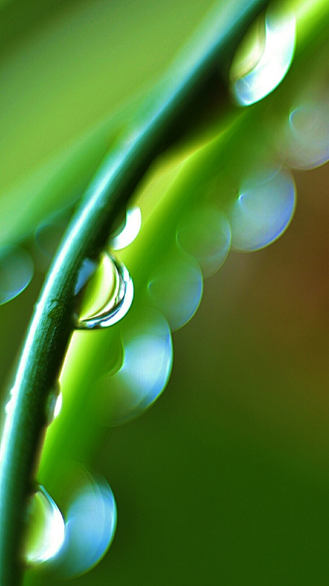 8d - 江门望月 - 图虫网 - 最好的摄影师都在这