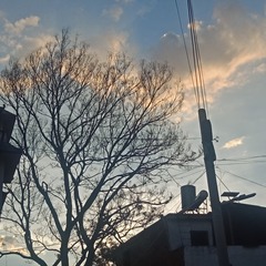 1601890