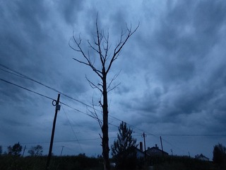1000010540
