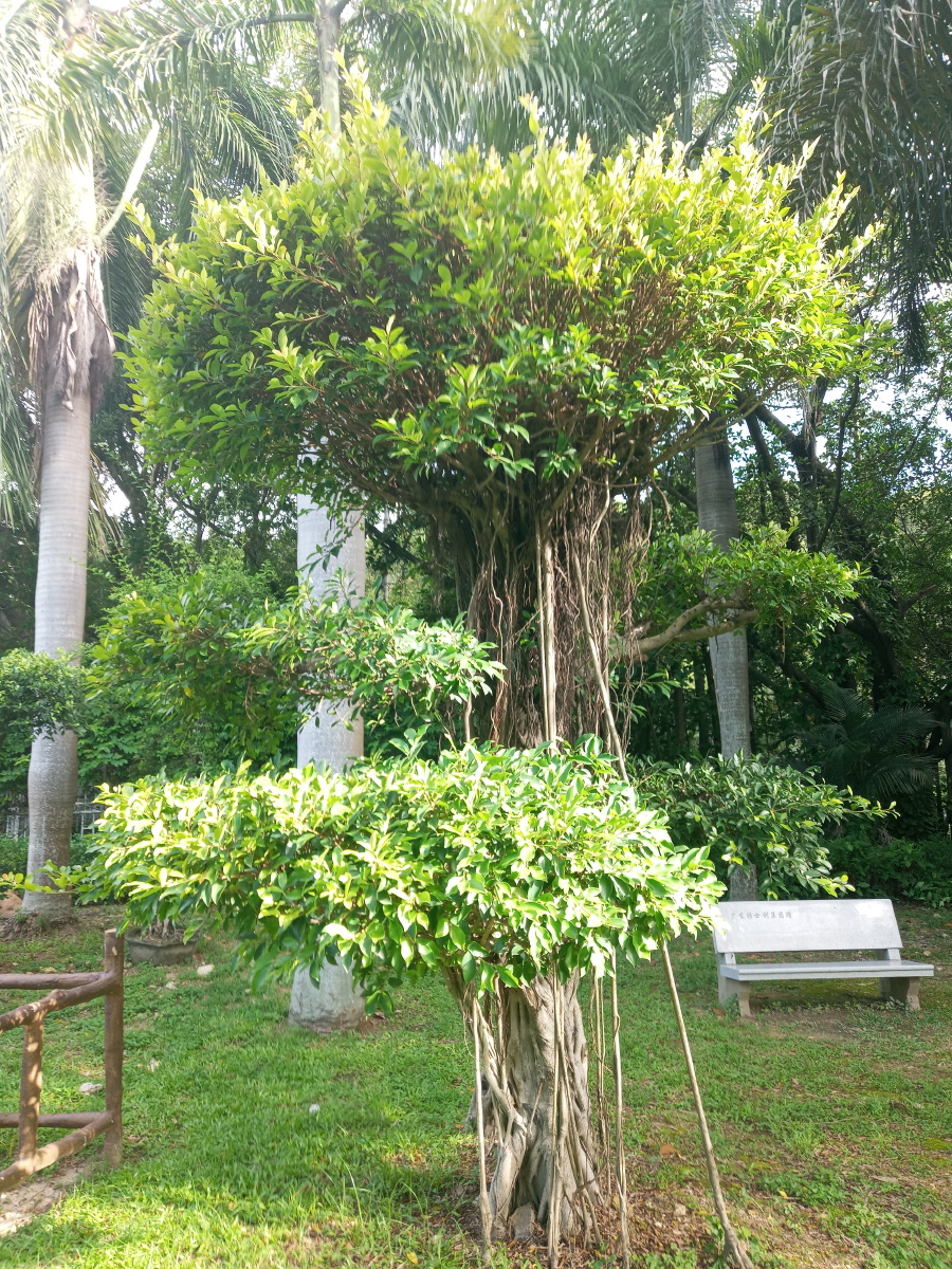 野石兰 - 图虫网 - 优质摄影师交流社区