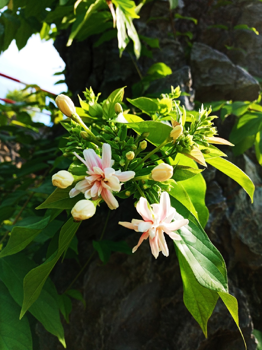 岁月含香,有爱则暖.