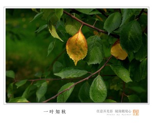 IMGP6340-1.jpg