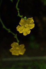 IMGP5831-1.jpg