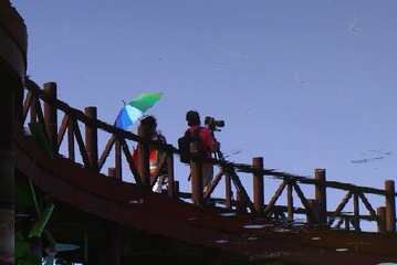 IMGP2781-1.jpg