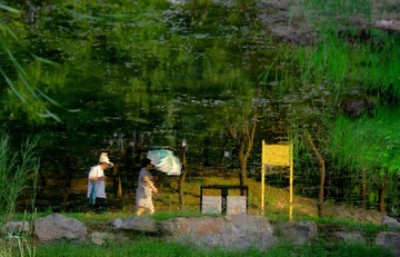 IMGP2829大.JPG