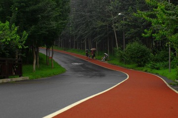 IMGP4385.JPG