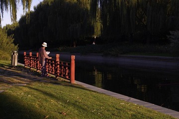 IMGP6520-1.jpg