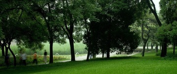 IMGP3025-1.jpg