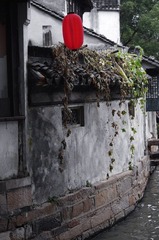 MYZH7168-1.jpg