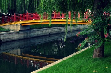 IMGP3183-1.jpg