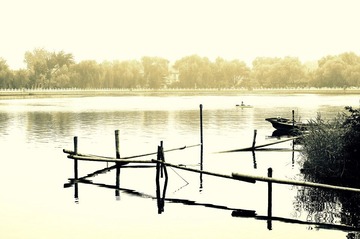 IMGP3929-1.jpg