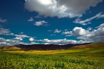IMGP5299-2.jpg
