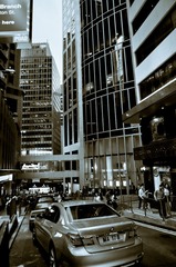 MYZH6349-1.jpg