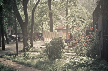 MYZH3652-1