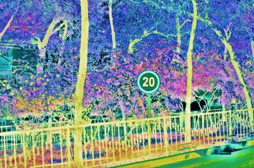 0020