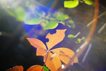 镜头眩光。。。