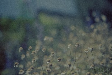 _MG_2924.jpg