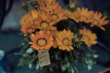 _MG_2991.jpg