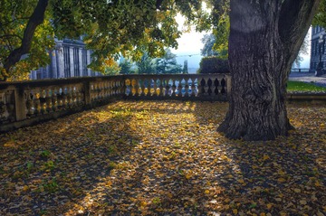 autumn_1