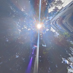 1000001228
