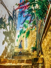 寻花，Follow the flowers