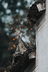 1000170525