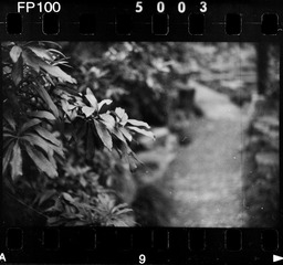 Scan-111025-0003.jpg