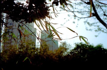 Scan-101108-0030