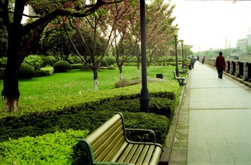 Scan-101107-0037