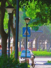 6F228381-5F70-43A0-AC37-4A8FBBA51AA1/L0/001