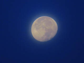 0DBE0E88-F0A9-402D-B737-D0DA7DC8C429/L0/001