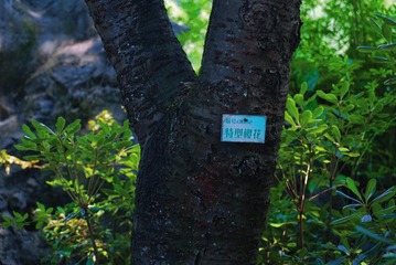 56885A27-842E-45D1-86CF-6DB27729AA83/L0/001