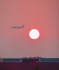 FEF54B03-D9DF-4F8B-947D-A1B00EA3A8FC/L0/001