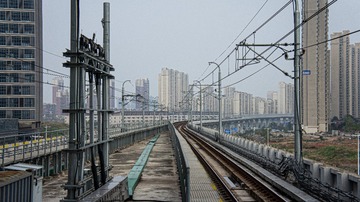 1000093560