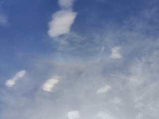 1000013729