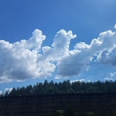 713