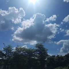 688